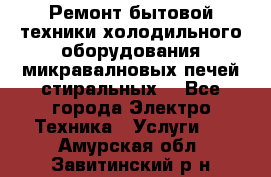 Ремонт бытовой техники холодильного оборудования микравалновых печей стиральных  - Все города Электро-Техника » Услуги   . Амурская обл.,Завитинский р-н